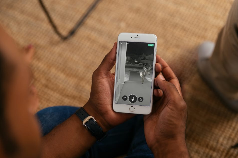 Springdale AR security system